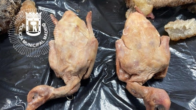 Cierran un restaurante chino que ofrecía carne de paloma como pato laqueado y almacenaba comida en mal estado