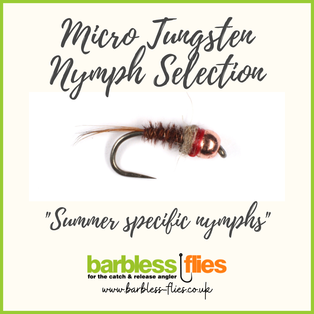 Image of Micro Tungsten Nymph Selection