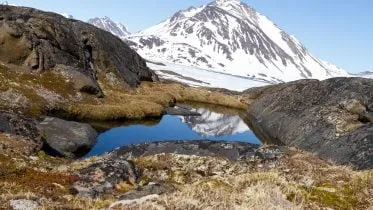 Greenland Melt Pool