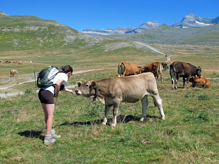 Risultati immagini per l'idea  bioregionale