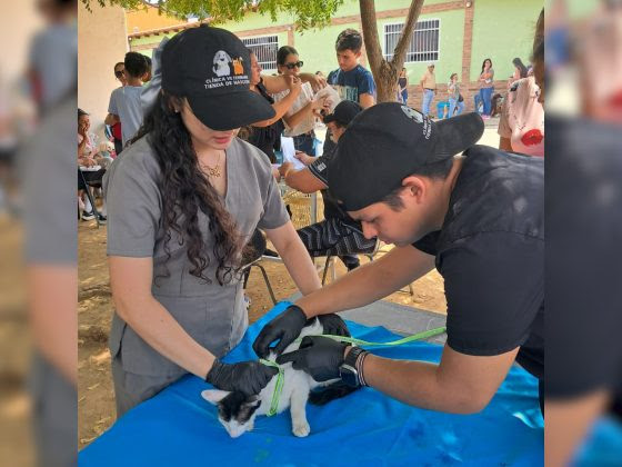 Estudiantes y voluntarios unen esfuerzos para atender a animales en situación de calle en Barinas