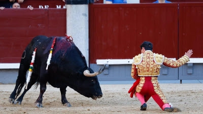 La Comunidad celebra el nuevo récord de público en la Feria de San Isidro, con cerca de 600.000 espectadores