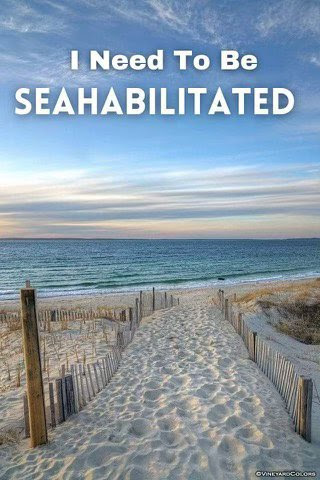 Beach-Seahabilitated