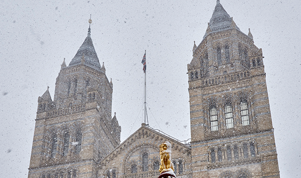 all-about-london-natural-history-museum-events-to-light-up-your