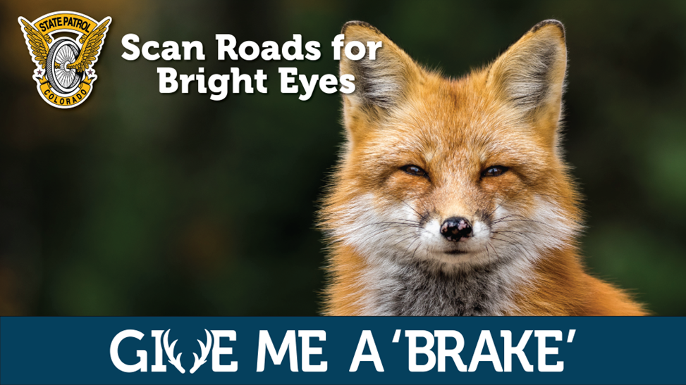 Give me a brake