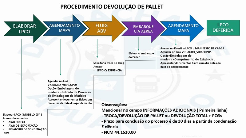 PROCEDIMENTO DEVOLUÇÃO DE PALLET_page-0001