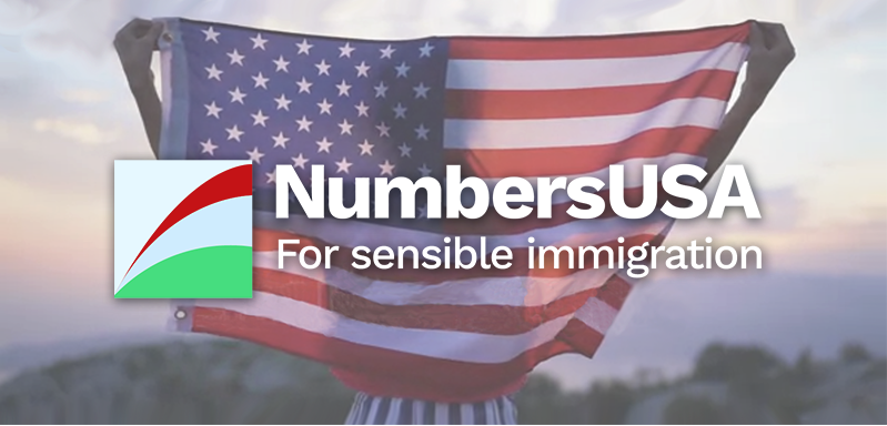NumbersUSA with flag