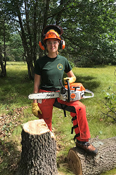 DNR staffer holding chainsaw near cut tree