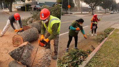 Migrantes que Trump quiere deportar apoyan en incendios de Los Ángeles: Quitan árboles caídos y escombros