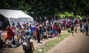 Migrantes hacen fila en un centro de recepción temporal después de cruzar la selva del Darién.