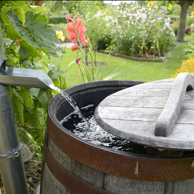 a rainwater collection barrel with water flowing into it