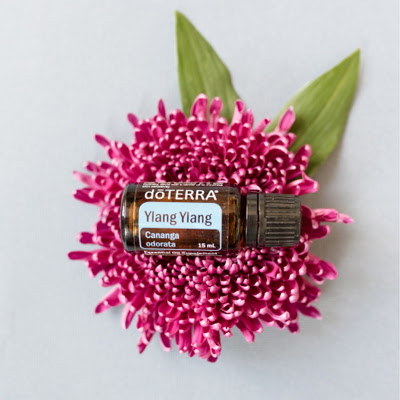 Ylang Ylang Oil Uses and Benefits | doTERRA Essential Oils