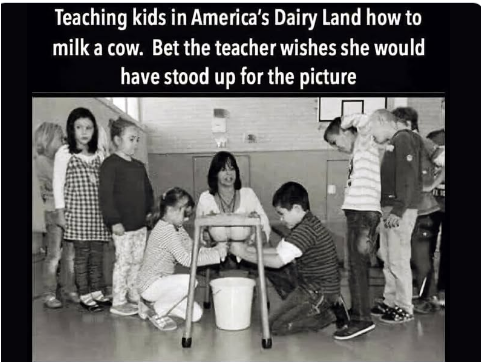 Awkward photo of teacher showing how to milk cows.