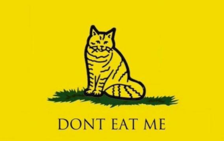 Gadsen flag with a cat.