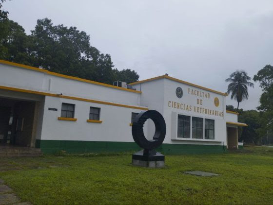 Campus Maracay de la UCV no se deja vencer por la sombra