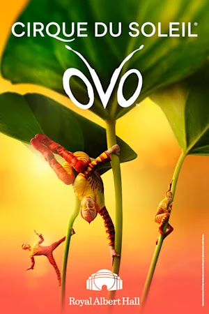 OVO (Royal Albert Hall, Inner London) OVO (Royal Albert Hall, Inner London)