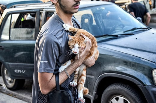 Un jeune homme tient un chat contre sa poitrine alors que les personnes qui ont fui leurs villages dans le sud du Liban sont accueillies dans un refuge temporaire pour les personnes déplacées par le conflit, à Beyrouth, le 23 septembre 2024. Photo by Fadel Itani/AFP via Getty Images