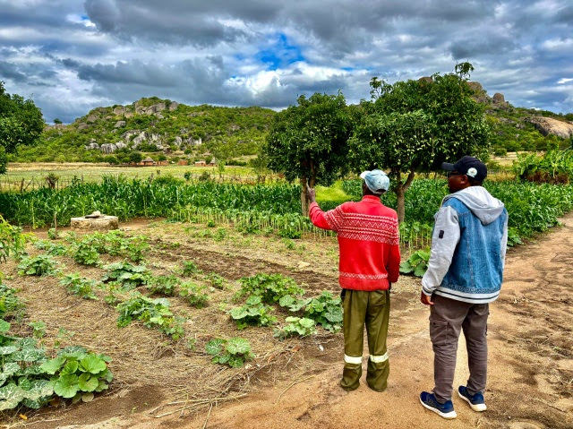 Twenty-five years after Zimbabwe’s land reform: understanding change