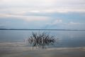 A floresta e o rio são partes da vida diária nas paisagens do Tapajós