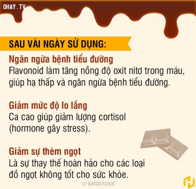 ,sô cô la đen,chocolate,socola,infographic