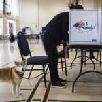 7 Things Super Tuesday Just Taught Us About the November Election Https%3A%2F%2Fs3.us-east-1.amazonaws.com%2Fpocket-curatedcorpusapi-prod-images%2F5d7c6b74-5083-4bbb-8a88-7b1812895b58