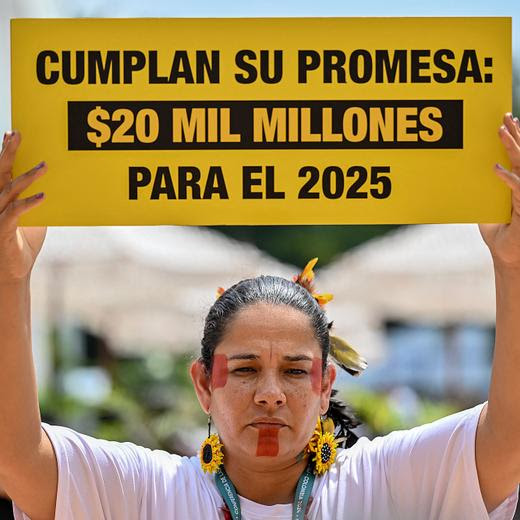 A Greenpace activist holds a sign reading "Keep your promise: $20 billion by 2025" during a protest at the COP16 summit in Cali, Valle del Cauca department, Colombia, on October 28, 2024. The COP16 biodiversity summit in Cali, Colombia, enters its second week Monday to assess, and ramp up, progress towards achieving 23 targets agreed in Canada two years ago to halt and reverse nature destruction by 2030. (Photo by Luis ACOSTA / AFP)