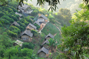 Several homes are surrounded by trees on a hillside.