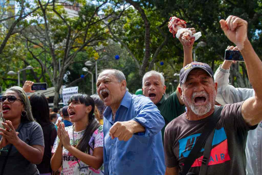 Docentes