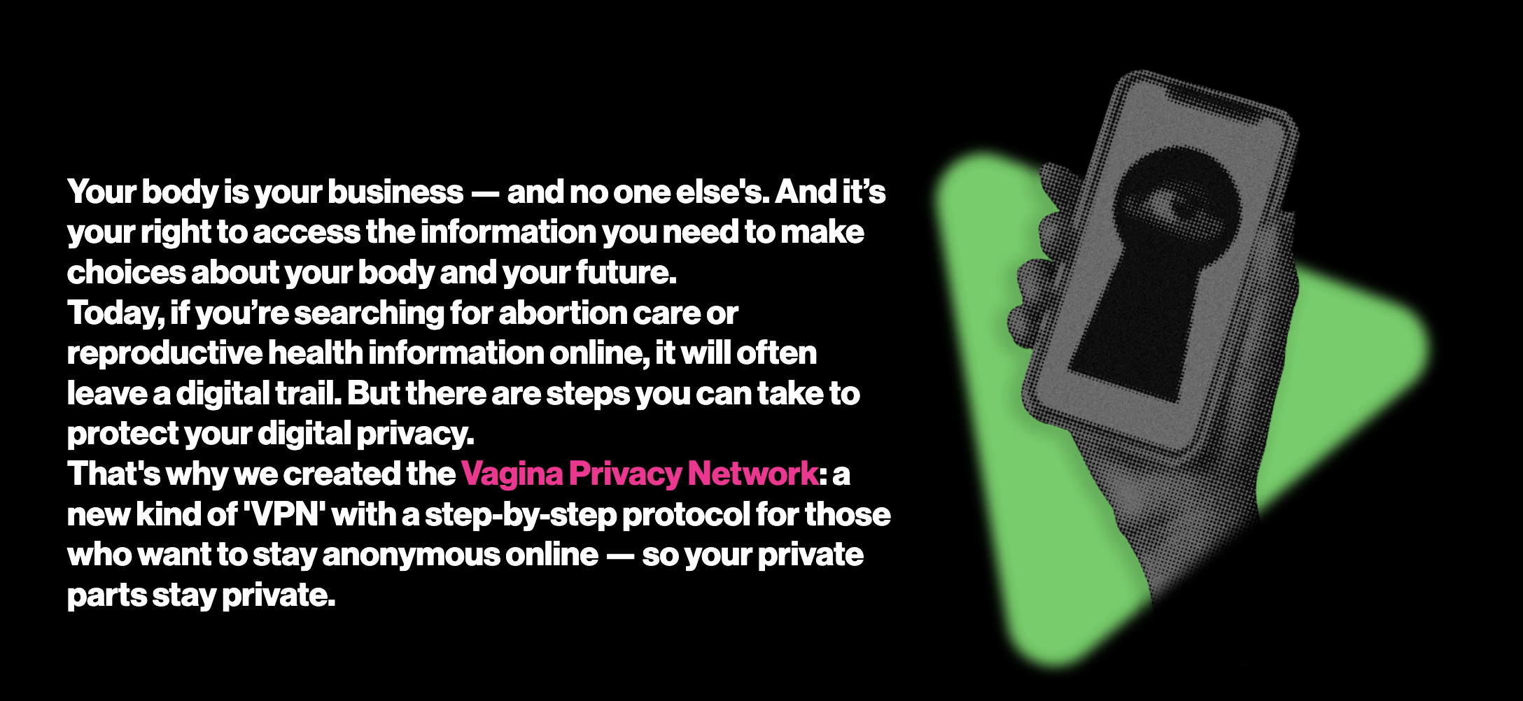 copy: Digital Privacy for your private parts. copy at the top of the vagina privacy network website