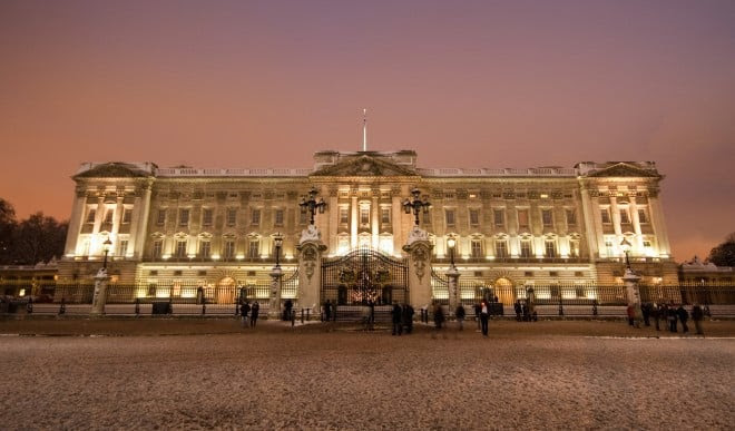 Buckingham Palace with daffodils in the foreground