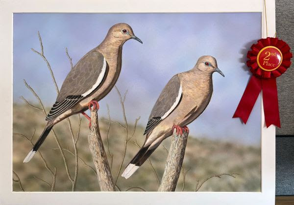 Painting of two doves on branches