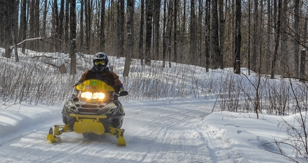 a snowmobiler on a black and yellow snowmobile comes around a curved, snow-covered trail, with a backdrop of tall, thin trees