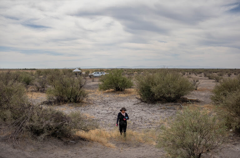 A person in dark clothes, sunglasses and a hat stands amid tall brush in a desert terrain.