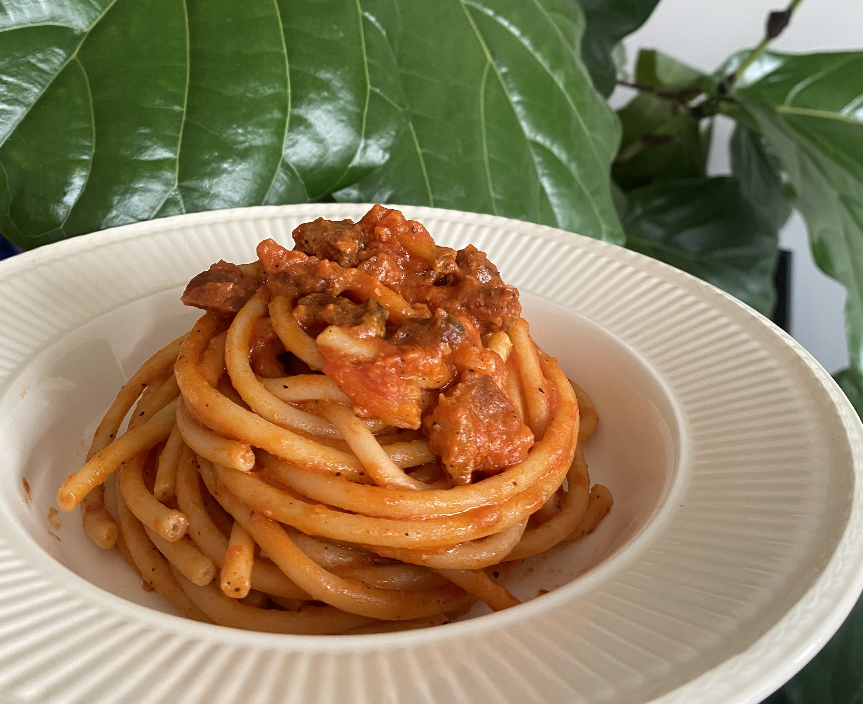 amatriciana bucatini faella valpolicella raw red wine vinegar