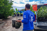 BoriCorp member carrying sapplings about to be planted as other members stand in the background