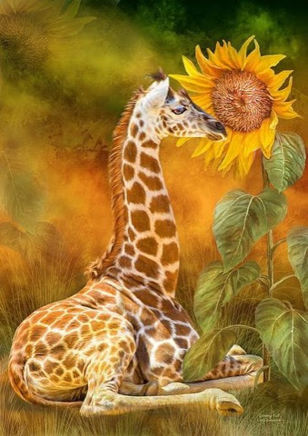 Giraffe-Sunflower