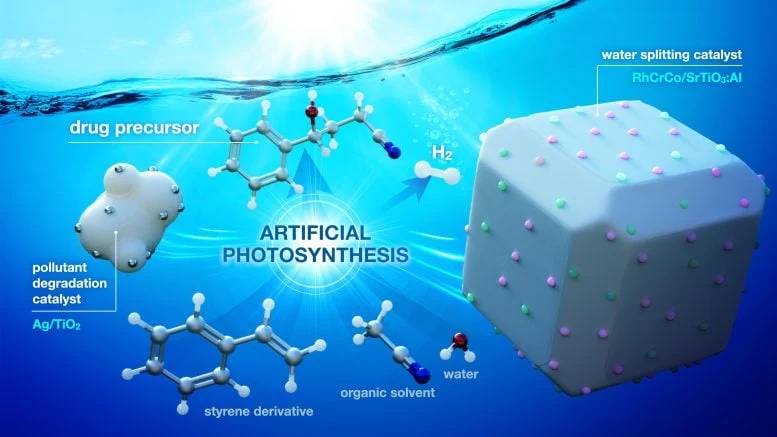 Degradation Catalysts Transformed Into Dual Catalysts for Artificial Photosynthesis