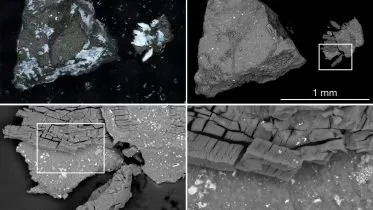 Asteroid Bennu Sample Microscope Images