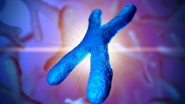 Chromosome Genetics Illustration