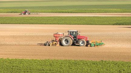 En 2024, les prix alimentaires mondiaux ont baissé de 2%, selon l'Organisation des Nations unies pour l'alimentation et l'agriculture