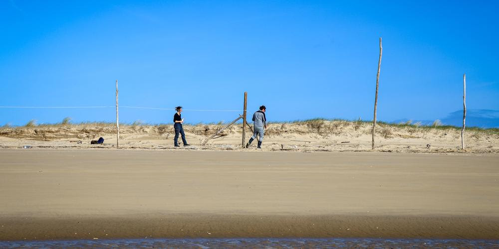Bassin d’Arcachon : l’arrêté préfectoral délimitant les zones de protection intégrales sur le banc d’Arguin est publié