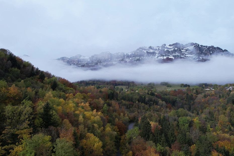 'On peut acheter une part à 100 euros' : quand des citoyens se regroupent pour acheter des forêts