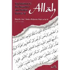 The Ultimate Conspectus: Matn al-Ghayat wa al-Taqrib: al-Asfahani, Abu Shuja', Furber, Musa, Furber, Musa: 9780985884024: Amazon.com: Books