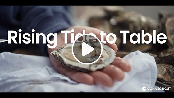 Thumnail from the video of the documentary Rising Tide to Table