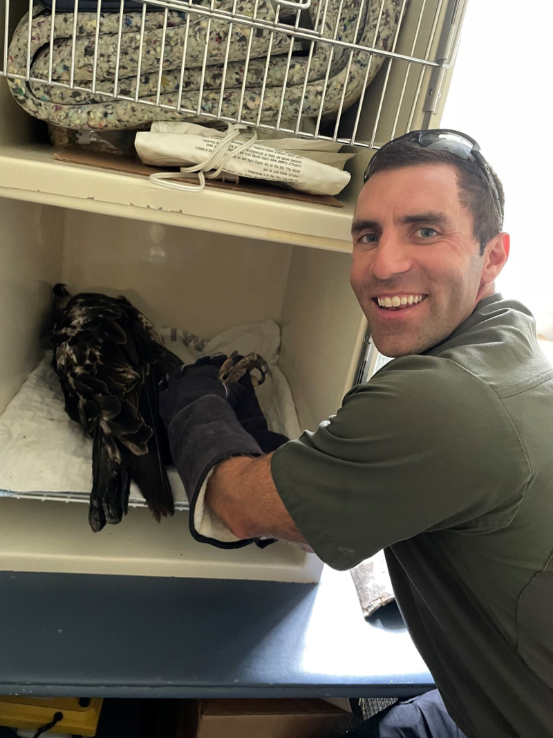 ECO wears protective gear while holding injured bald eagle