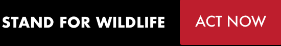 STAND FOR WILDLIFE