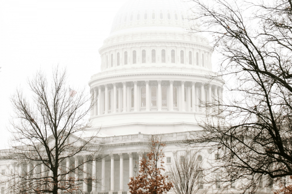 The US Capitol Building is show in a white haze behind barren trees.