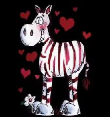 Valentine-zebra