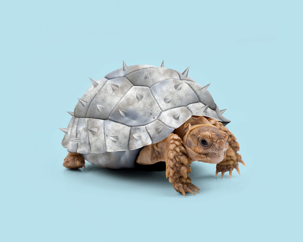 A photo illustration of a turtle with a spiked metal shell