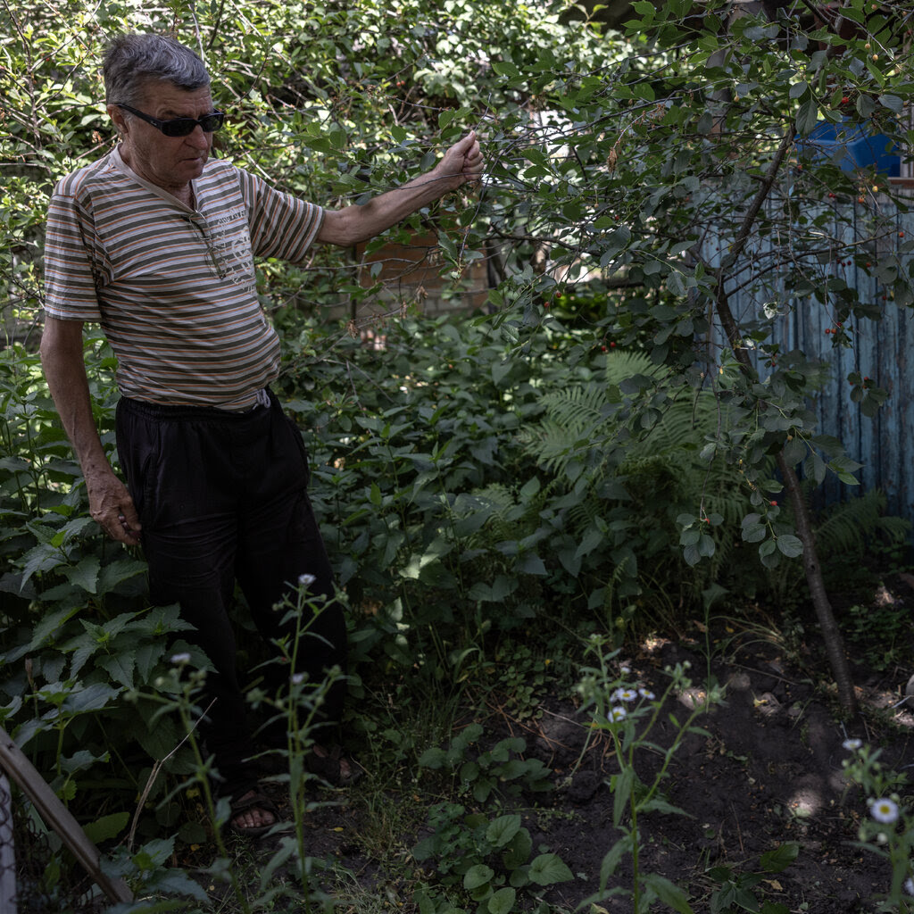 A man in a striped shirt standing amid plants in the yard of a house.